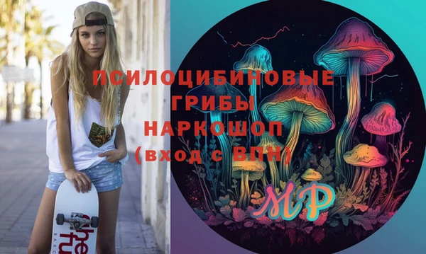 МДПВ Арсеньев