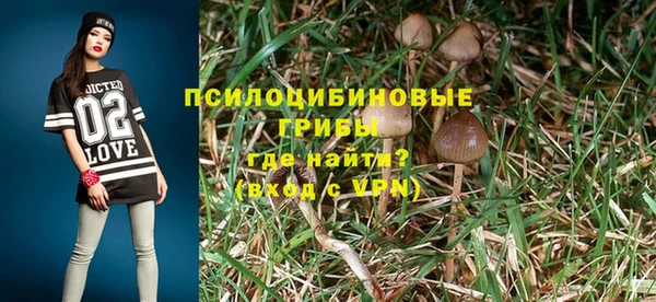 молекула духа Армянск