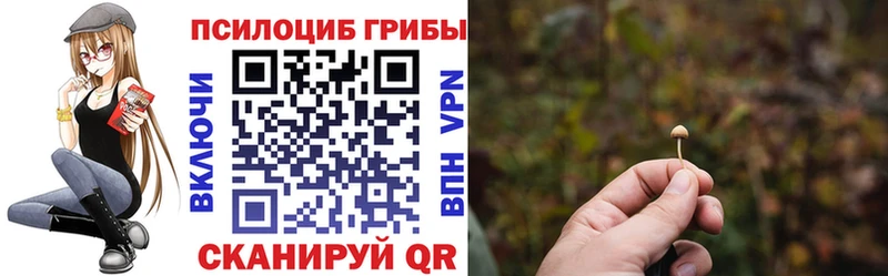 закладка  Солигалич  Галлюциногенные грибы мухоморы 