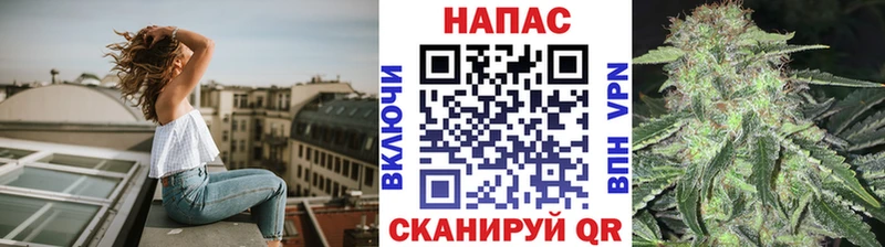 MEGA ONION  Солигалич  Конопля MAZAR 